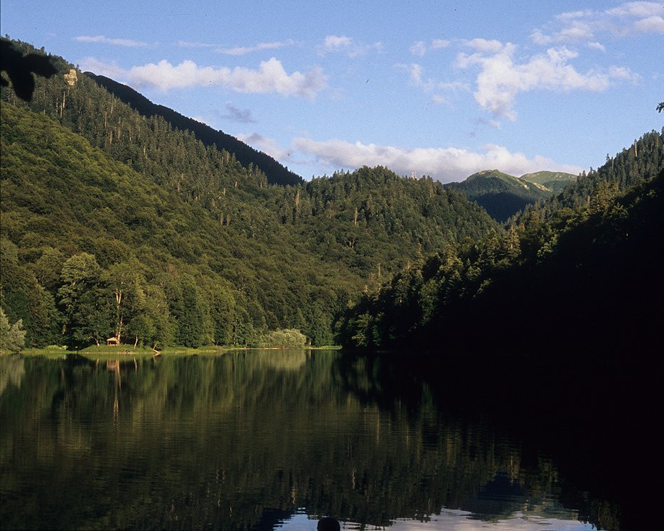 Озеро в Национальном парке, Черногория. Фото 19 – фотографии Черногории