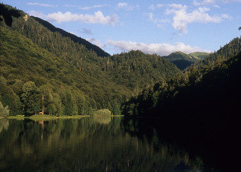 Озеро в Национальном парке, Черногория. Фото 19 – фотографии Черногории