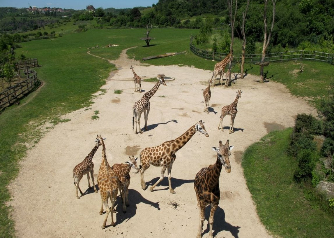 Пражский зоопарк – фотографии Чехии