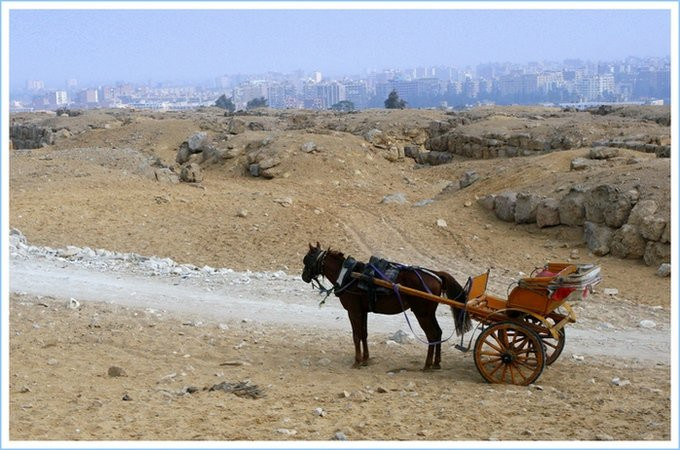 Каир, Египет, фото № 35139 – фотографии Египта