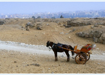 Каир, Египет, фото № 35139 – фотографии Египта