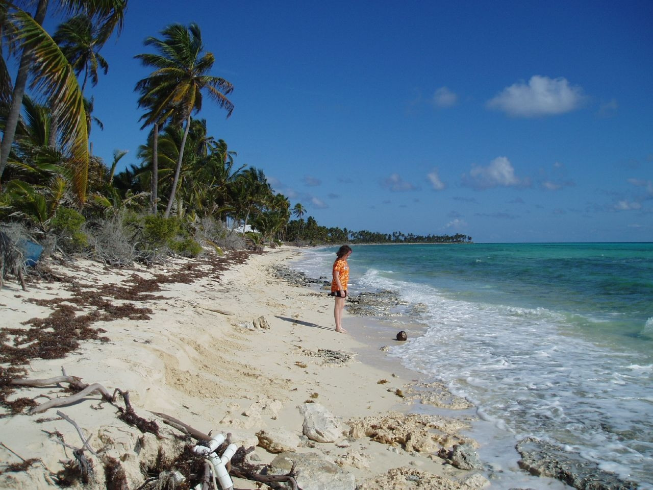 Берега на острове Андрос, Багамские острова – фотографии Багамских островов
