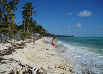 Берега на острове Андрос, Багамские острова – фотографии Багамских островов