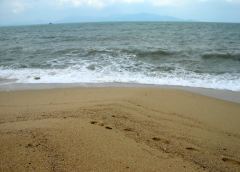 Пляж в Бопхут-Бич, Тайланд. Фото 8 – фотографии Таиланда