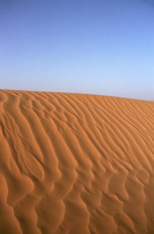 Пустыня Сахара, Тунис. Фото 10 – фотографии Туниса
