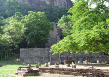 Япахува, Шри-Ланка, фото № 52705 – фотографии Шри-Ланки