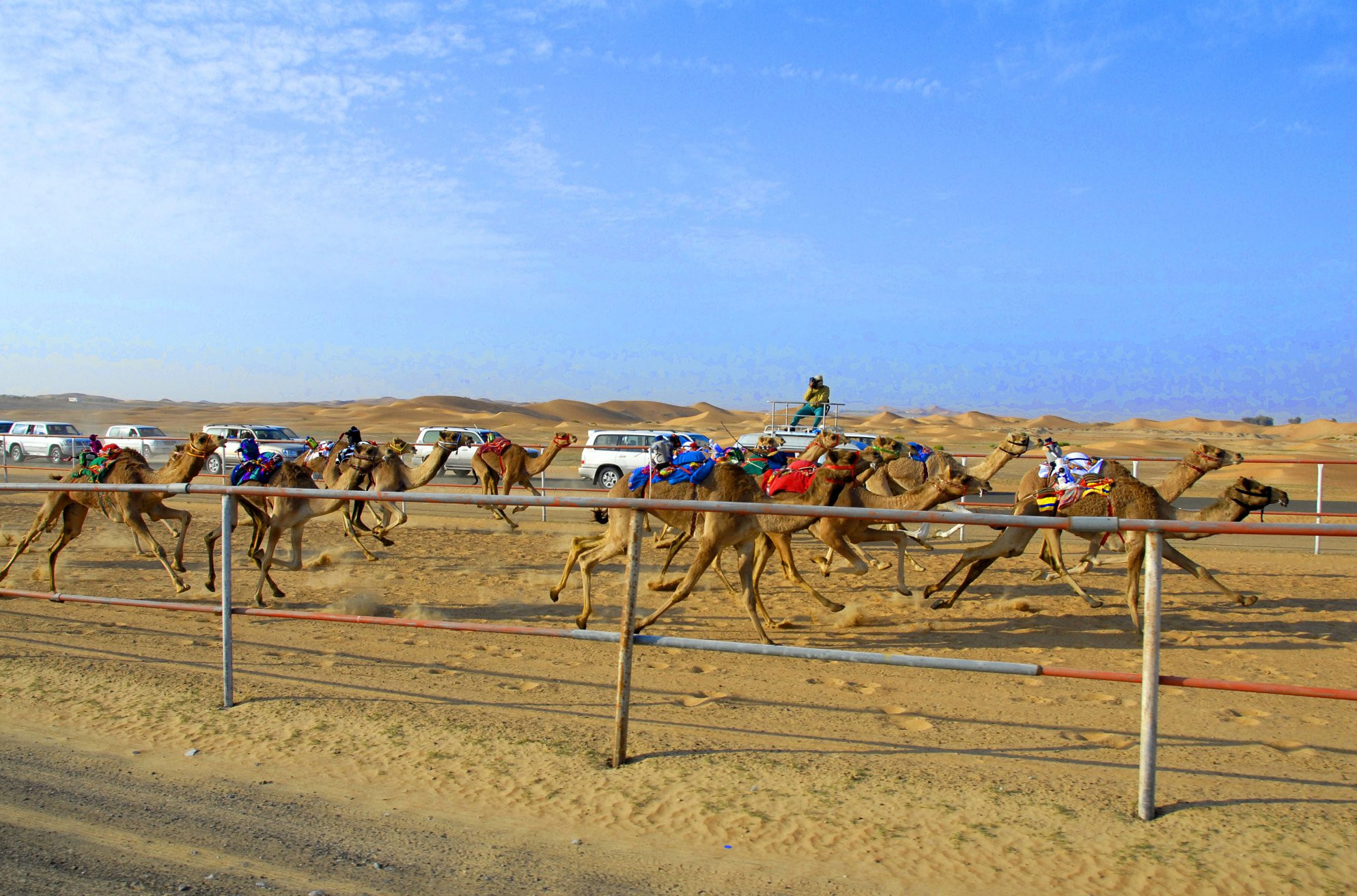 ОАЭ, фото № 1568 – фотографии ОАЭ