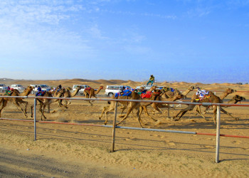 ОАЭ, фото № 1568 – фотографии ОАЭ