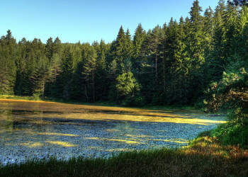 Природа Болгарии. Фото 1 – фотографии Болгарии