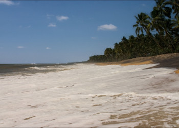 Калутара, Шри-Ланка, фото № 51202 – фотографии Шри-Ланки