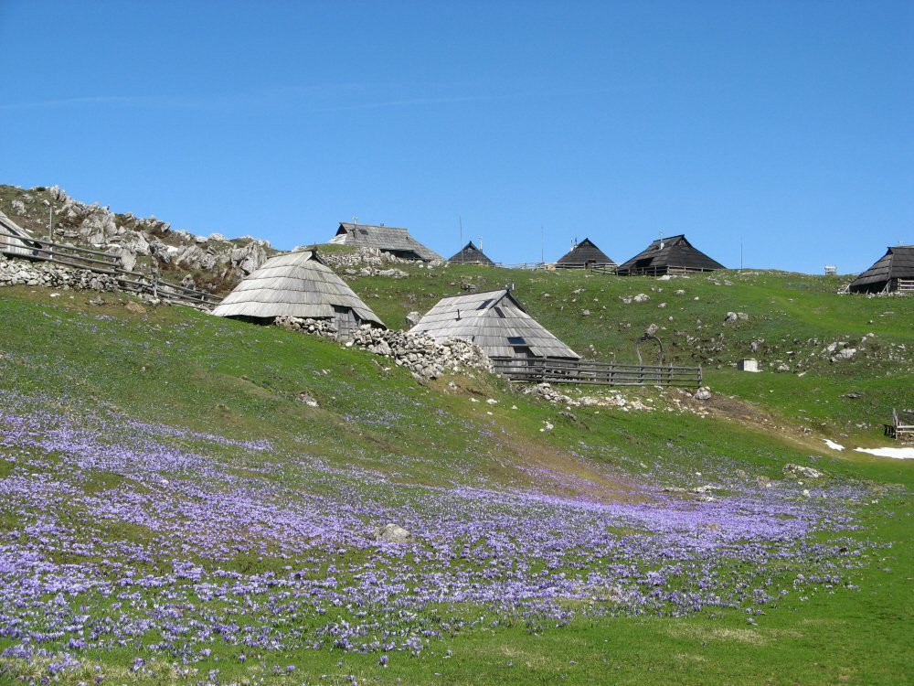 Велика Планина, Словения, фото № 56984 – фотографии Словении