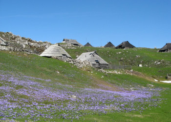 Велика Планина, Словения, фото № 56984 – фотографии Словении