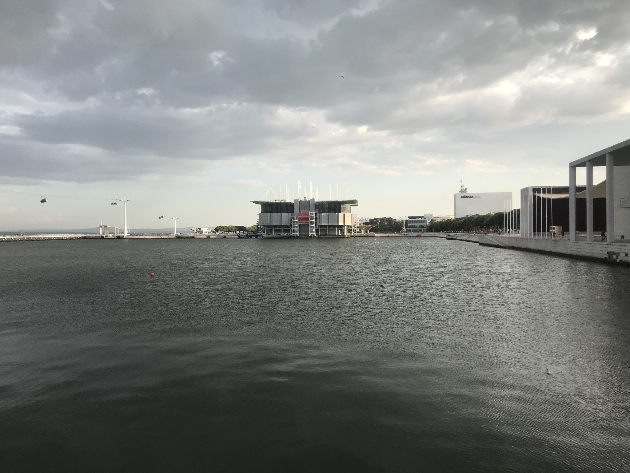 Лиссабонский океанариум – фотографии Португалии