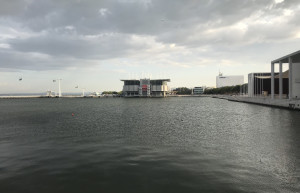 Лиссабонский океанариум – фотографии Португалии