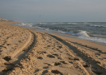 Пляж в Лакане, Франция. Фото 4 – фотографии Франции