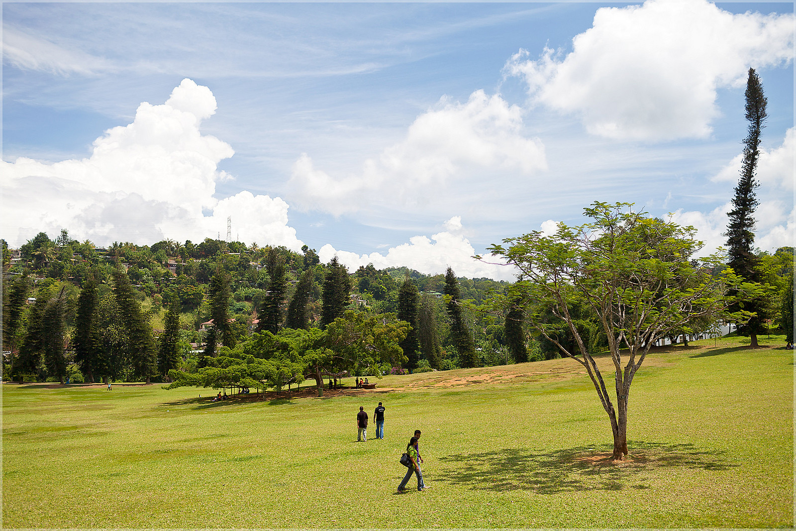 Королевский Ботанический сад на Шри-Ланке – фотографии Шри-Ланки