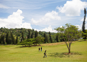 Королевский Ботанический сад на Шри-Ланке – фотографии Шри-Ланки