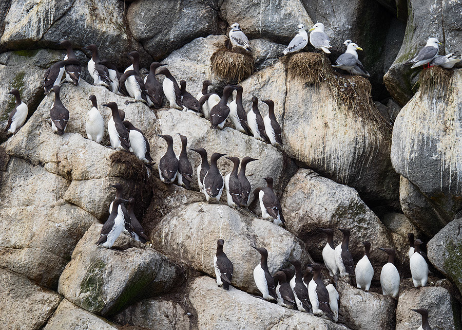 Уголок природы – фотографии России