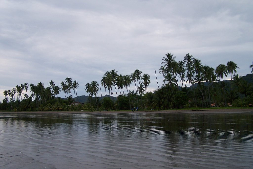 Тамбор, Пунтаренас провинция, Коста-Рика, фото № 41114 – фотографии Коста-Рики