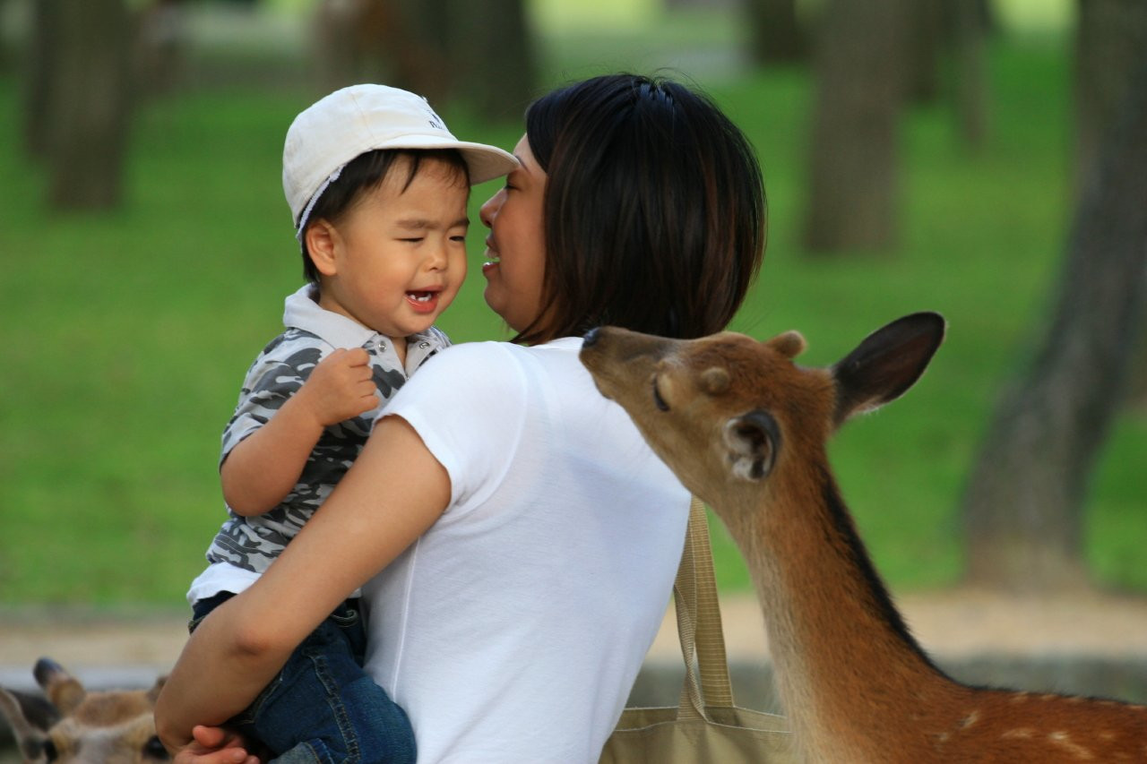 Nara – фотографии Японии