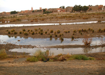 Эрфуд, Марокко, фото № 8748 – фотографии Марокко