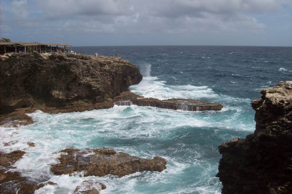 Animal Flower Cave, Barbados – фотографии Барбадоса