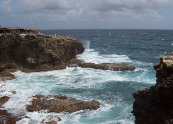 Animal Flower Cave, Barbados – фотографии Барбадоса