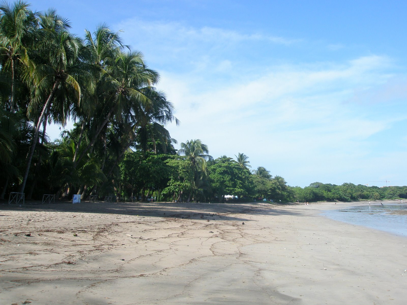 Тамариндо, Гуанакасте провинция, Коста-Рика, фото № 39988 – фотографии Коста-Рики