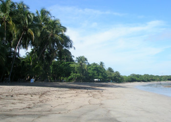 Тамариндо, Гуанакасте провинция, Коста-Рика, фото № 39988 – фотографии Коста-Рики