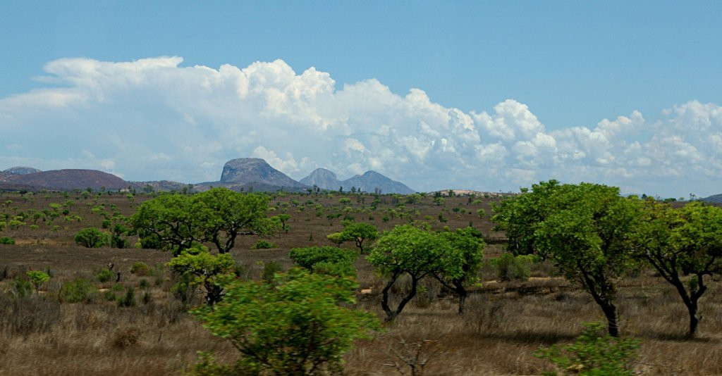 Мадагаскар, фото № 2202 – фотографии Мадагаскара