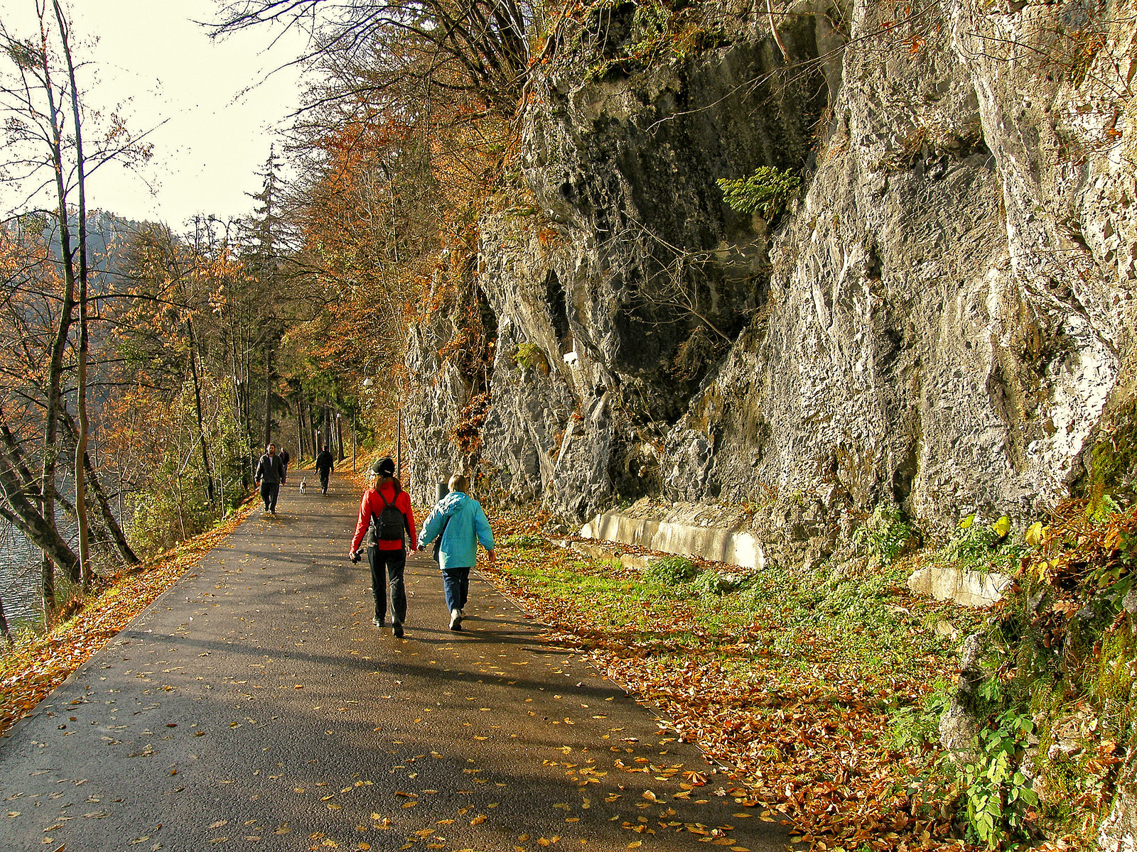 Бледское озеро (Blejsko jezero), Словения. Фото 6 – фотографии Словении