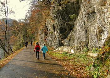 Бледское озеро (Blejsko jezero), Словения. Фото 6 – фотографии Словении