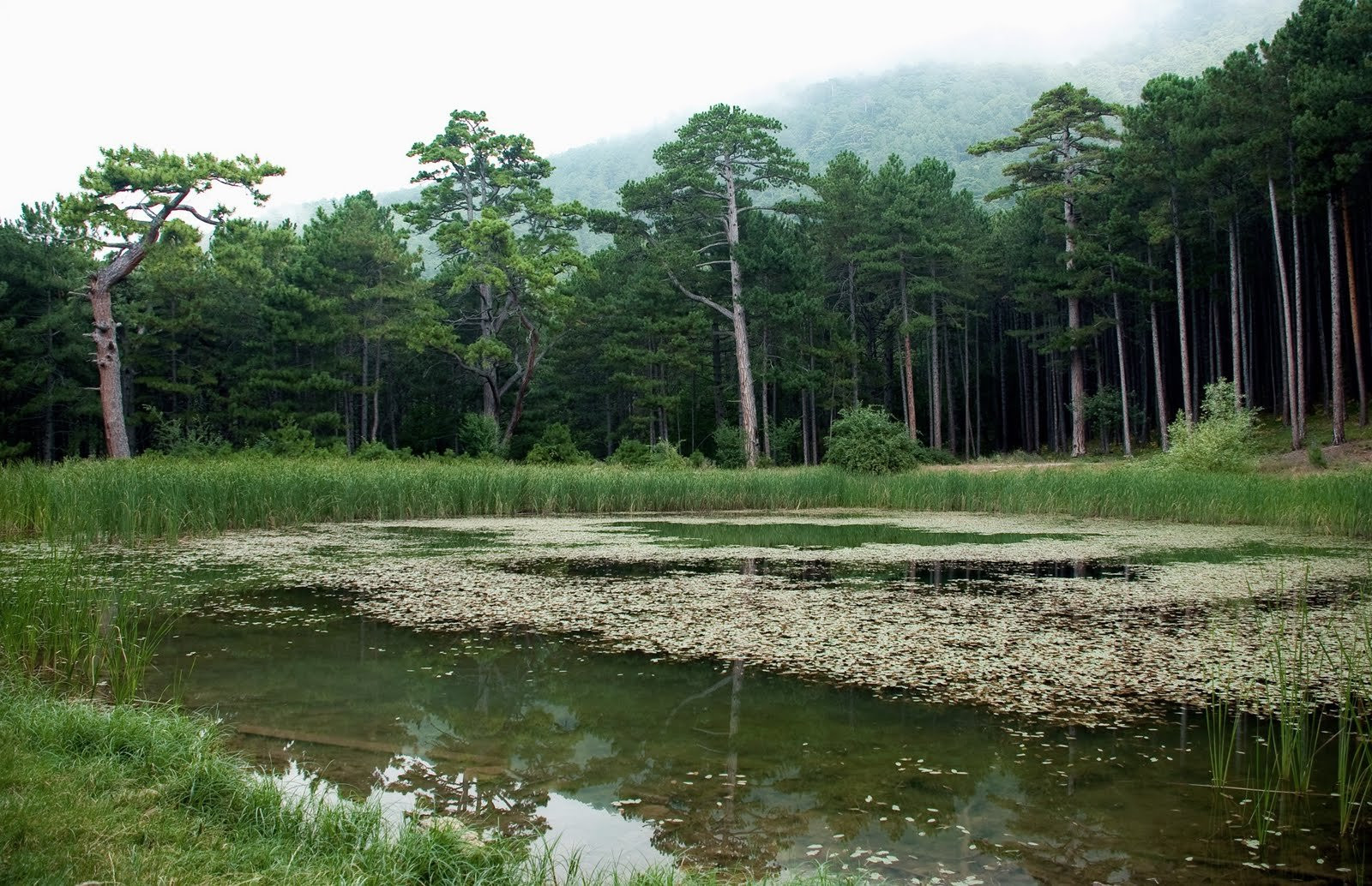 Украина, фото № 3967 – фотографии Украины