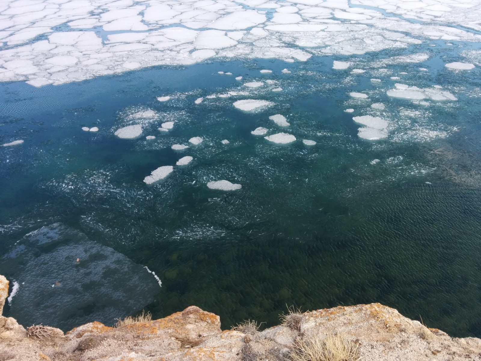 297181 – фотографии России