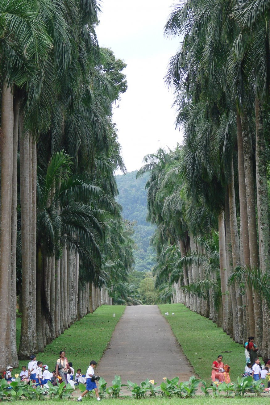 Канди, Шри-Ланка, фото № 51319 – фотографии Шри-Ланки