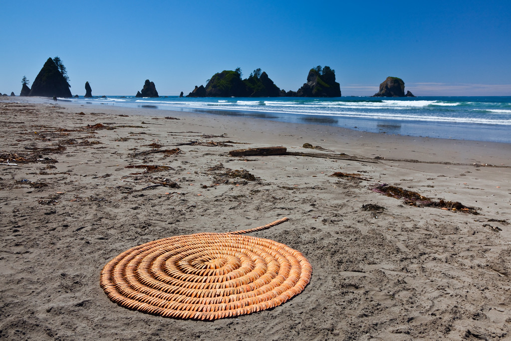 Пляж Ши-Ши в Национальном парке Олимпик. США. Фото 6 – фотографии США