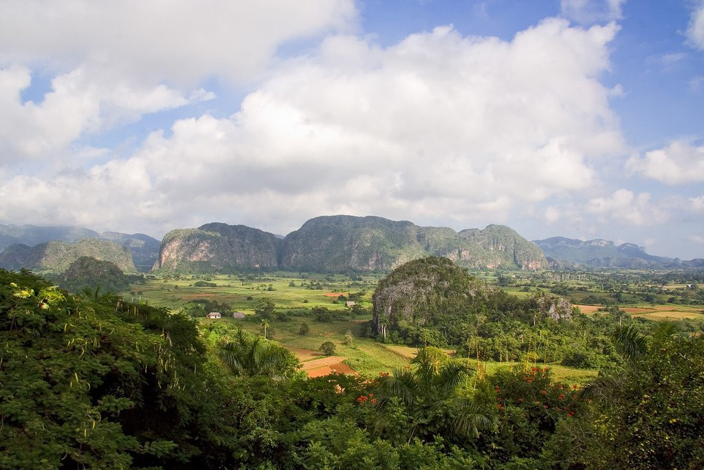 Природа в Пинар дель Рио провинция, Куба. Фото 21 – фотографии Кубы