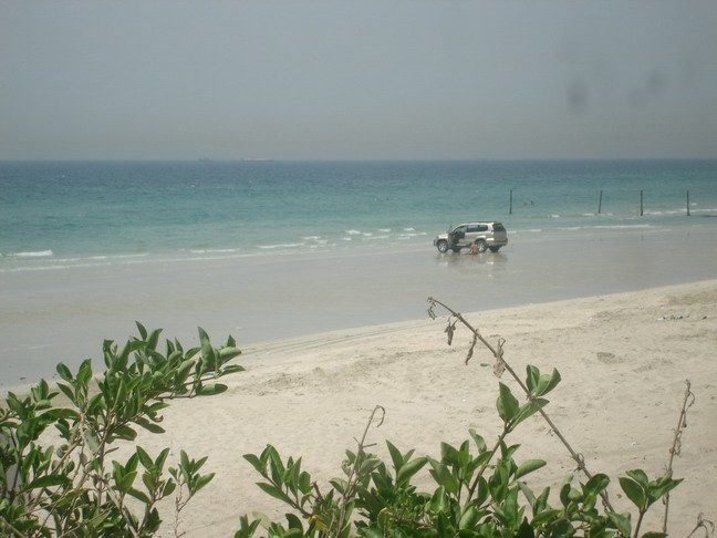 Шарджа, ОАЭ, фото № 61182 – фотографии ОАЭ