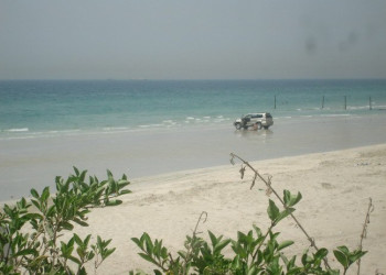 Шарджа, ОАЭ, фото № 61182 – фотографии ОАЭ