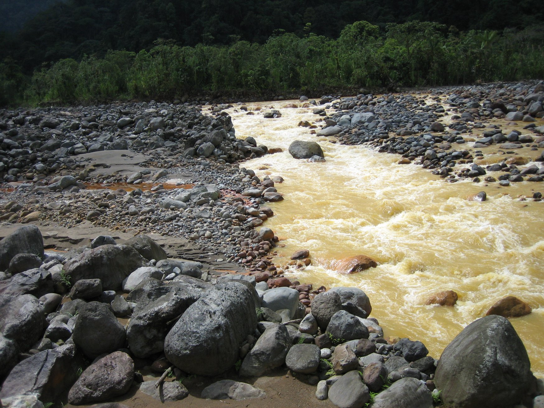 Браулио Каррильо Национальный Парк, Эредия провинция, Коста-Рика, фото № 39990 – фотографии Коста-Рики