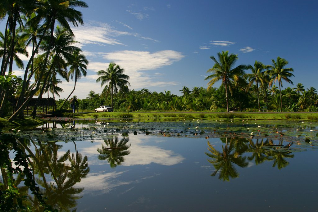 Корал Коаст, Вити Леву остров, Вити Леву группа островов, Фиджи, фото № 49488 – фотографии Фиджи
