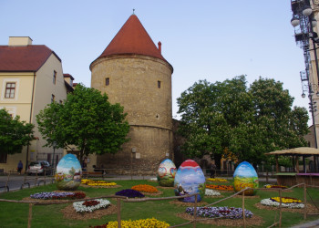 Клумбы цветов в Загреб, Хорватия – фотографии Хорватии