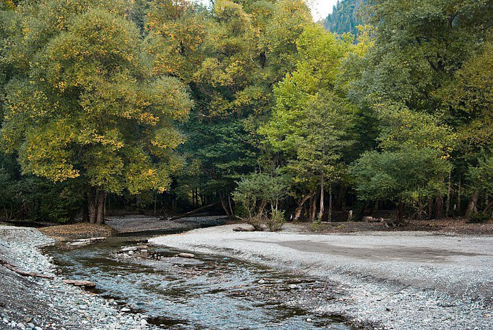 Природа Абхазии. Фото 9 – фотографии Абхазии