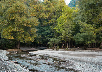 Природа Абхазии. Фото 9 – фотографии Абхазии