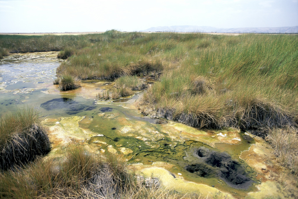 Национальный парк Омо, Эфиопия. Фото 5 – фотографии Эфиопии