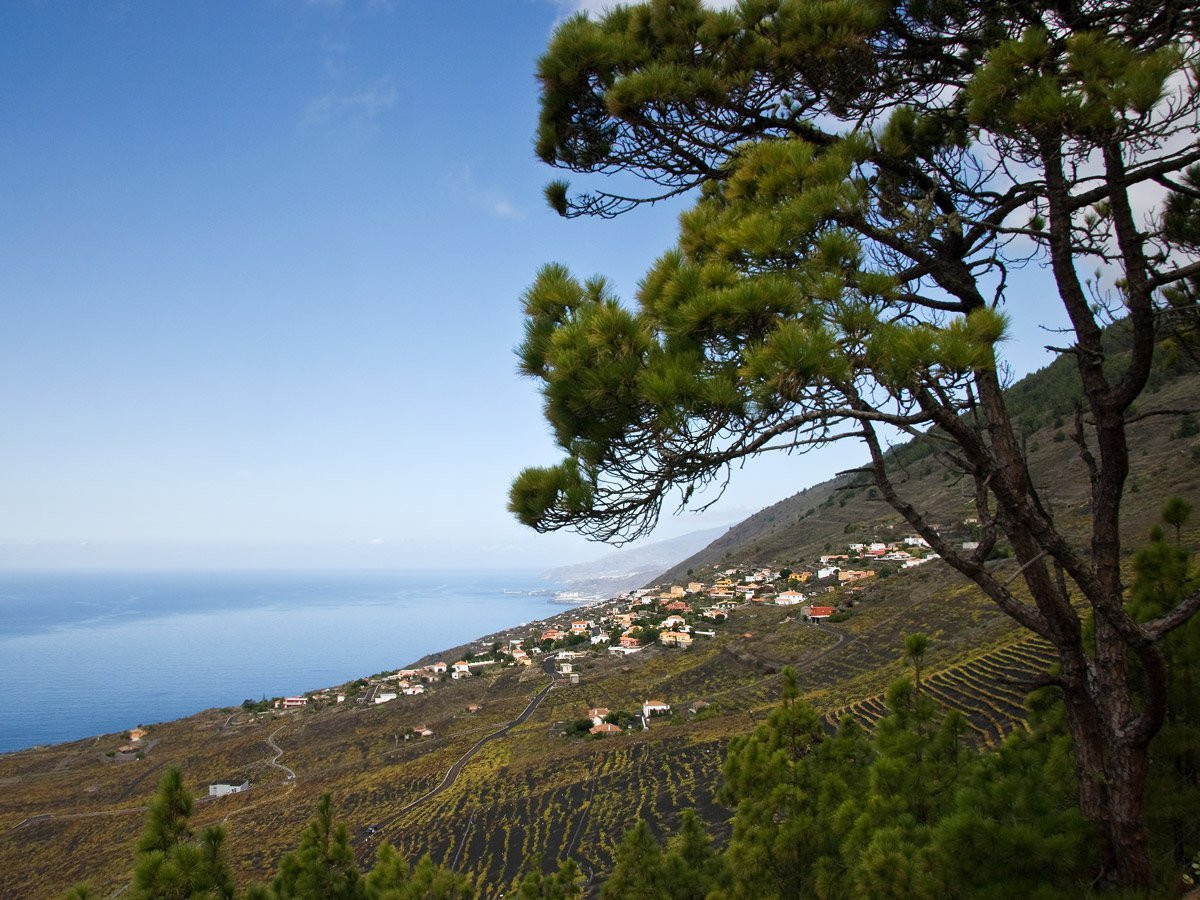 Фуэнкальенте, Ла-Пальма остров, Канарские острова, фото № 32252 – фотографии Канарских островов