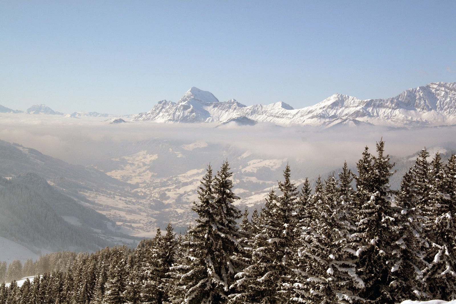 Природа в Сент-Жерве, Франция – фотографии Франции