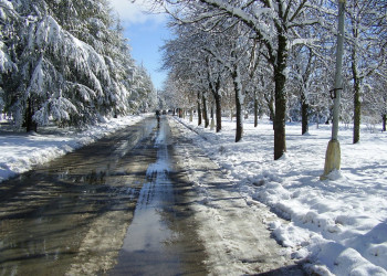 Ифран, Марокко, фото № 7494 – фотографии Марокко