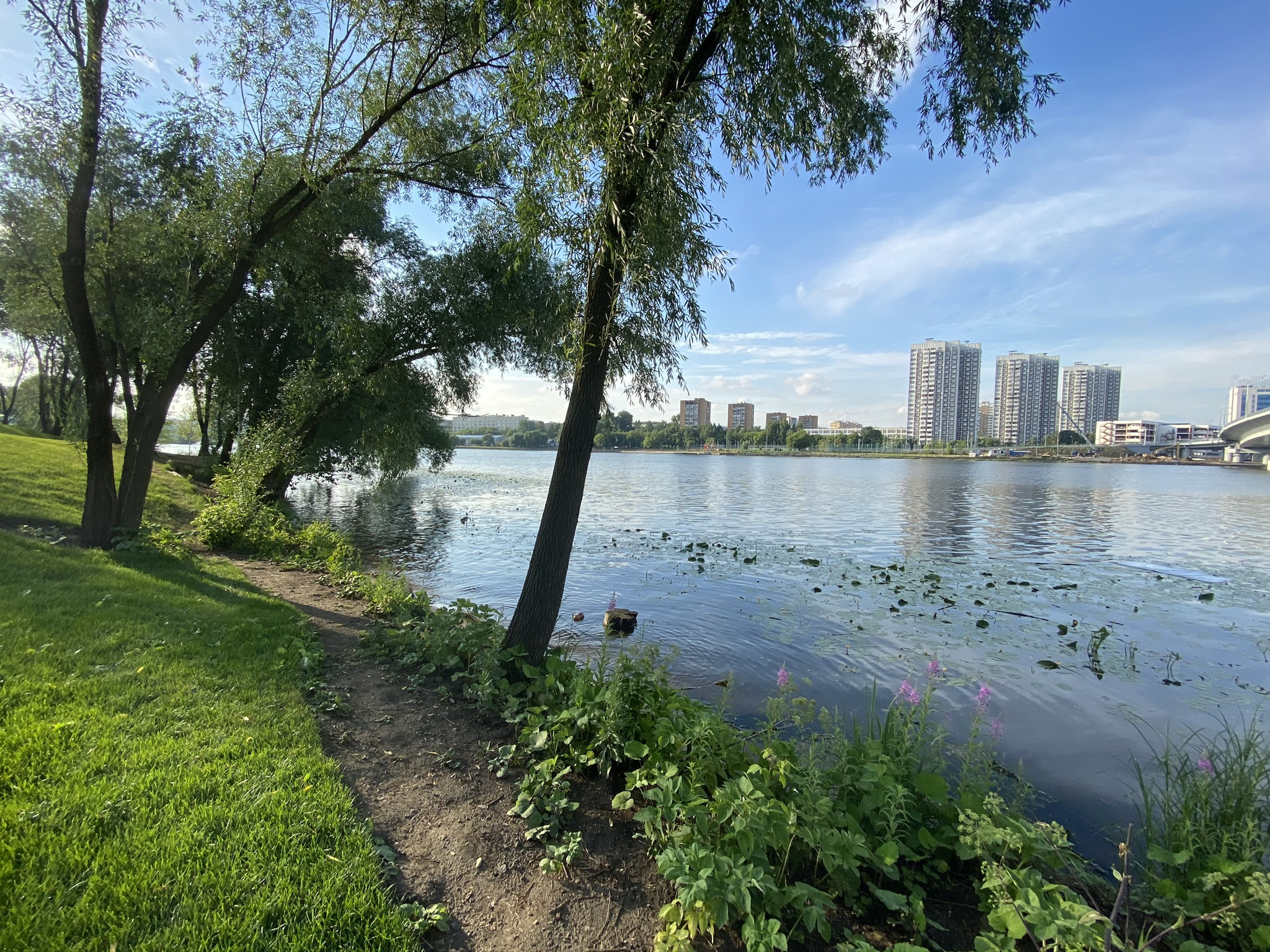 Вид с территории парка "Остров Мечты", Москва – фотографии России