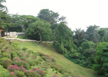 Парк горы Фабер – фотографии Сингапура